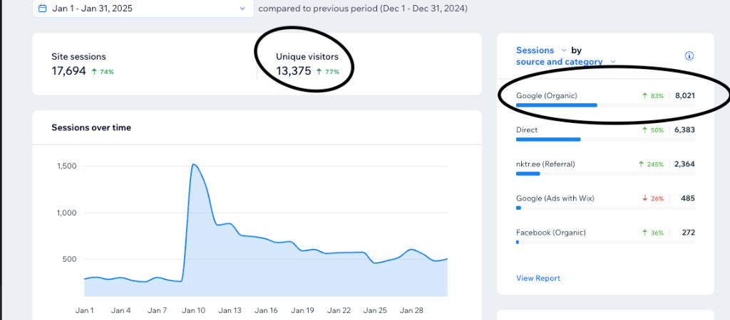 January 2025 analytics: 17,694 site sessions up 74%, 13,375 unique visitors up 77%, Google Organic up 83% at 8,021 sessions