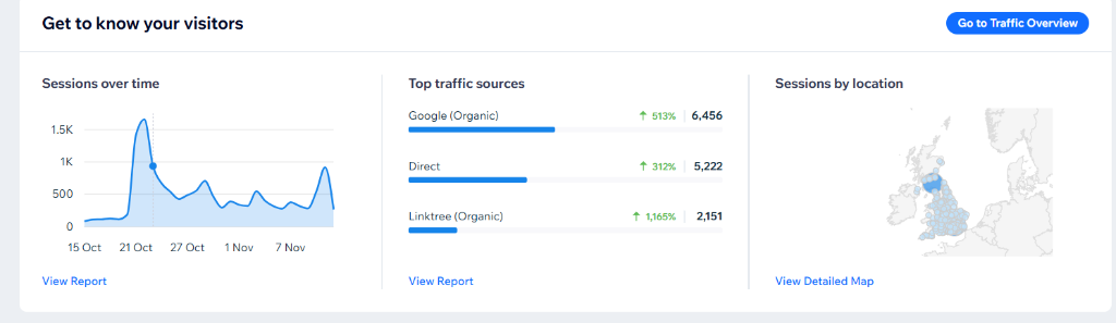 Sessions over time chart showing traffic spike to 1.5K sessions with top sources: Google Organic 513% up at 6,456 sessions